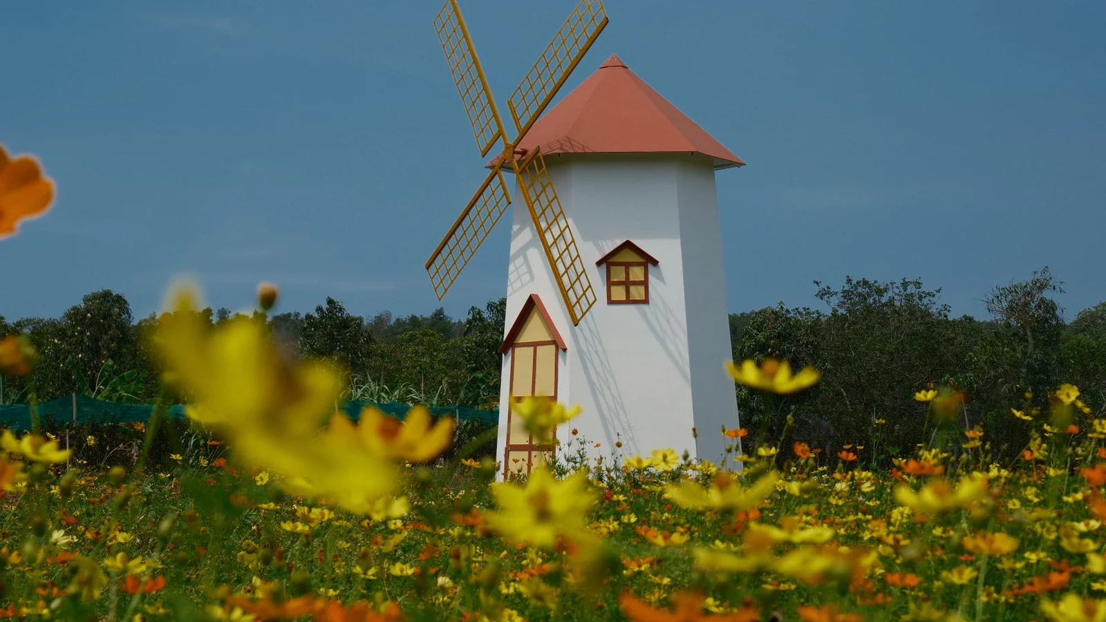 Holambra Vale a Pena? Nosso Veredito Sincero Sobre a Cidade das Flores